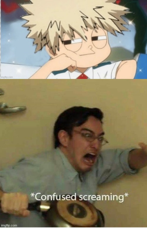 HECK NOOOOOOOO | image tagged in confused screaming | made w/ Imgflip meme maker