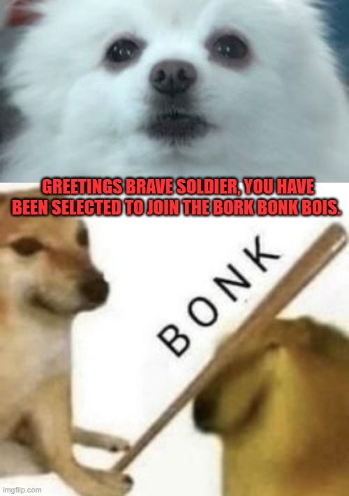 team bork or team bonk | GREETINGS BRAVE SOLDIER, YOU HAVE BEEN SELECTED TO JOIN THE BORK BONK BOIS. | image tagged in bork,bonk | made w/ Imgflip meme maker