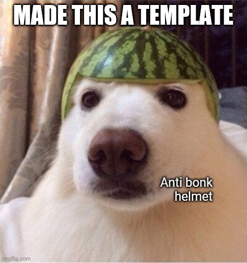 Anti bonk helmet | MADE THIS A TEMPLATE | image tagged in anti bonk helmet | made w/ Imgflip meme maker