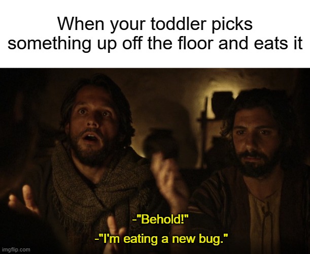 When your toddler picks something up off the floor and eats it; -"Behold!"; -"I'm eating a new bug." | image tagged in blank white template,the chosen | made w/ Imgflip meme maker