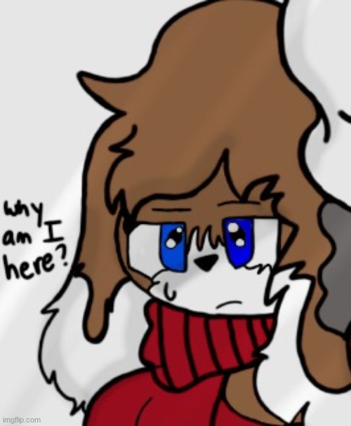 why am i here | made w/ Imgflip meme maker