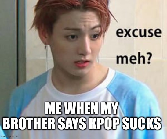 Excuse meh, you can’t say that. | ME WHEN MY BROTHER SAYS KPOP SUCKS | image tagged in excuse me,kpop,bts,fun,funny meme,lol | made w/ Imgflip meme maker