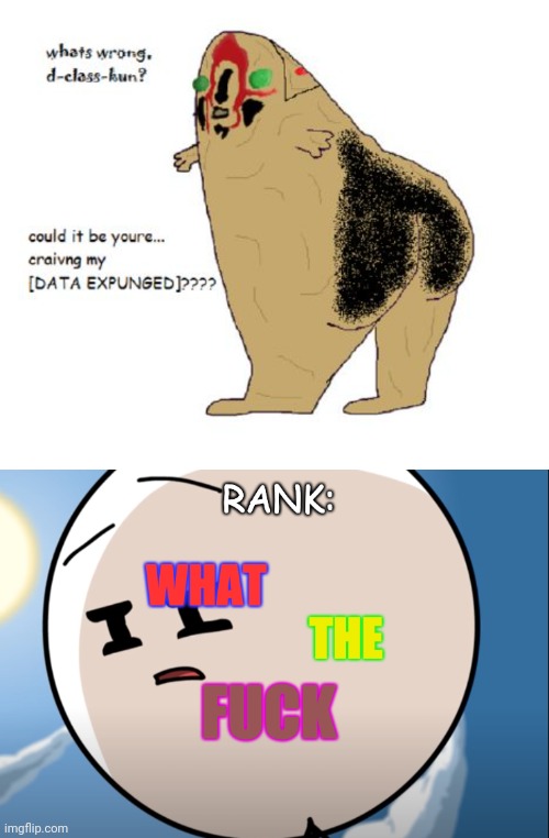 image tagged in rank what the fu k | made w/ Imgflip meme maker