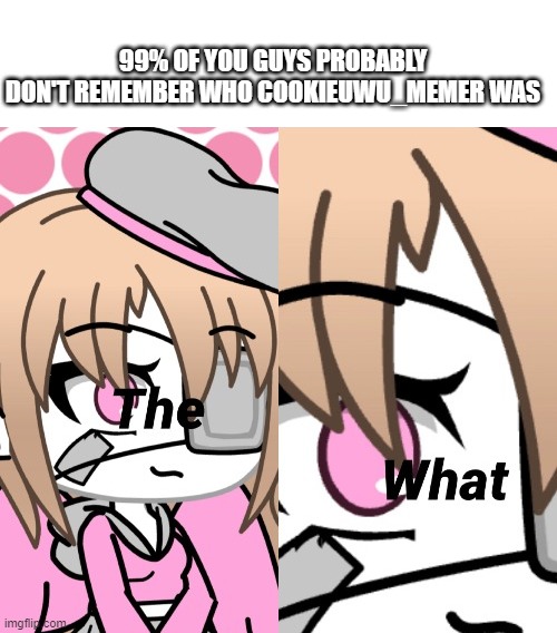 CookieUwU_Memer The What | 99% OF YOU GUYS PROBABLY DON'T REMEMBER WHO COOKIEUWU_MEMER WAS | image tagged in cookieuwu_memer the what | made w/ Imgflip meme maker