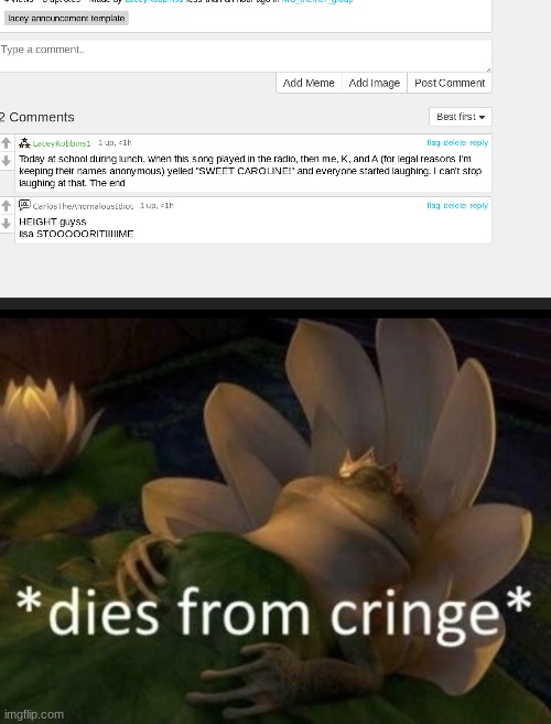humor reasons only no offense lacey it's just a joke | image tagged in dies from cringe | made w/ Imgflip meme maker