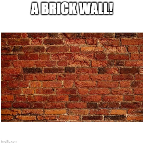 Answer for riddle part 2 | A BRICK WALL! | image tagged in riddles,meme | made w/ Imgflip meme maker
