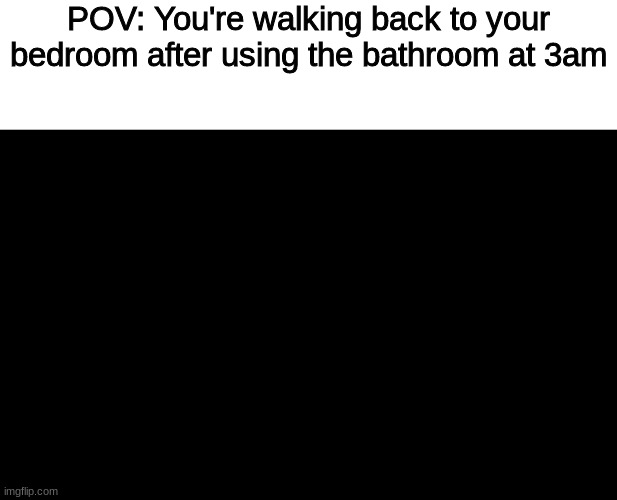 POV | POV: You're walking back to your bedroom after using the bathroom at 3am | image tagged in pov | made w/ Imgflip meme maker