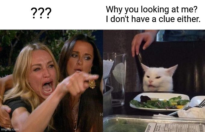 Woman Yelling At Cat Meme | ??? Why you looking at me? I don't have a clue either. | image tagged in memes,woman yelling at cat | made w/ Imgflip meme maker