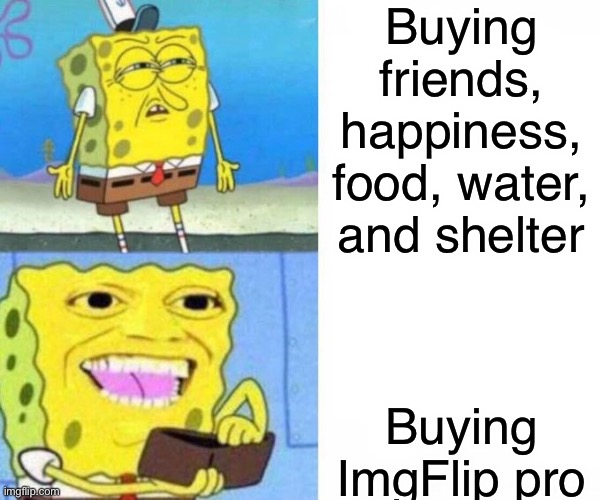 sadly my credit card doesn’t work virtually :( | Buying friends, happiness, food, water, and shelter; Buying ImgFlip pro | image tagged in spongebob wallet | made w/ Imgflip meme maker