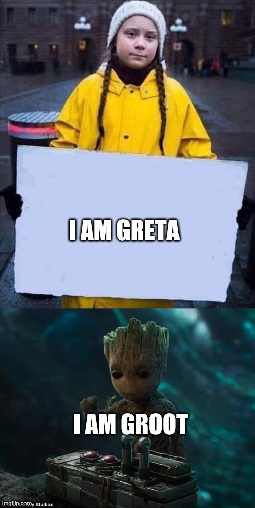 Hollywood's next dynamic duo | I AM GRETA; I AM GROOT | image tagged in greta,baby groot,comedy,meme | made w/ Imgflip meme maker