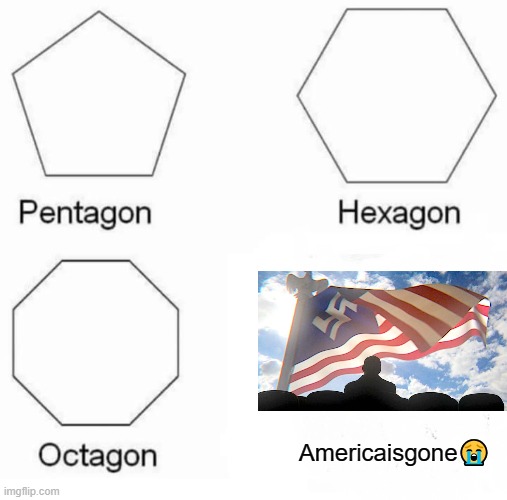 Plz dont kill me for this im just making a meme ¯\_(ツ)_/¯ | Americaisgone😭 | image tagged in memes,pentagon hexagon octagon,nazi,shapes | made w/ Imgflip meme maker