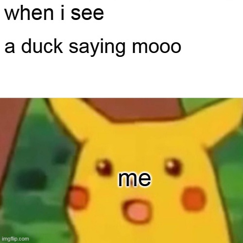 Ha. That's funny | when i see; a duck saying mooo; me | image tagged in memes,surprised pikachu | made w/ Imgflip meme maker