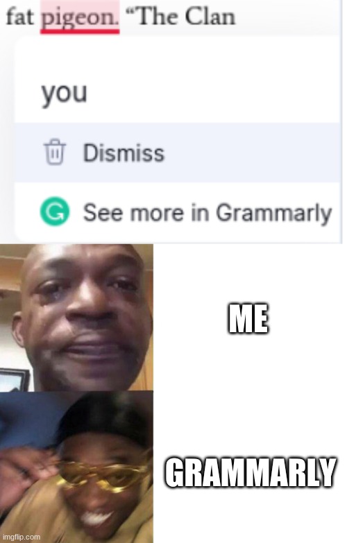 Grammarly such dankness at my expense | ME; GRAMMARLY | image tagged in black guy crying and black guy laughing | made w/ Imgflip meme maker