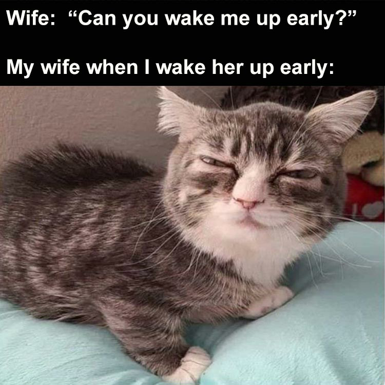 High Quality Kitty cat woke up too early Blank Meme Template