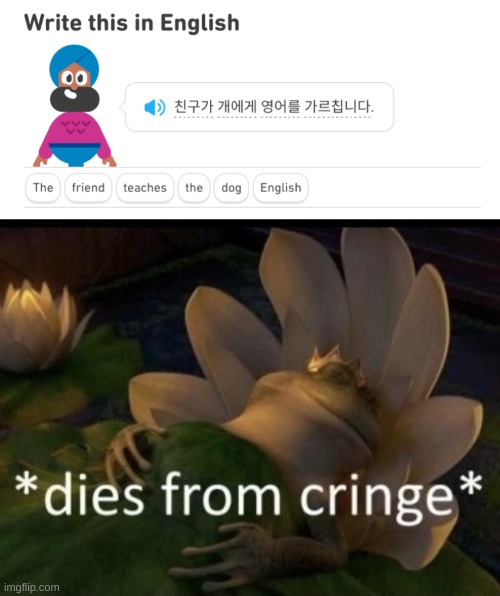 image tagged in dies from cringe | made w/ Imgflip meme maker