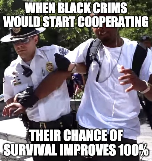 Start Cooperating. No problem worrying about survival. | WHEN BLACK CRIMS WOULD START COOPERATING; THEIR CHANCE OF SURVIVAL IMPROVES 100% | image tagged in white cop busting black man | made w/ Imgflip meme maker