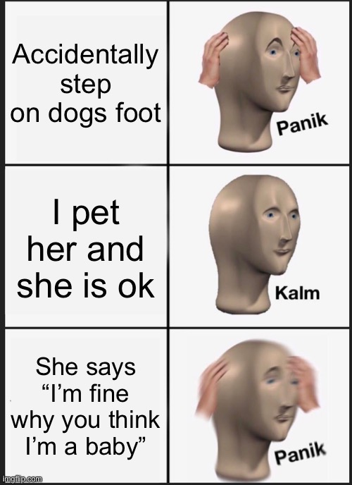 Doge | Accidentally step on dogs foot; I pet her and she is ok; She says “I’m fine why you think I’m a baby” | image tagged in memes,panik kalm panik | made w/ Imgflip meme maker