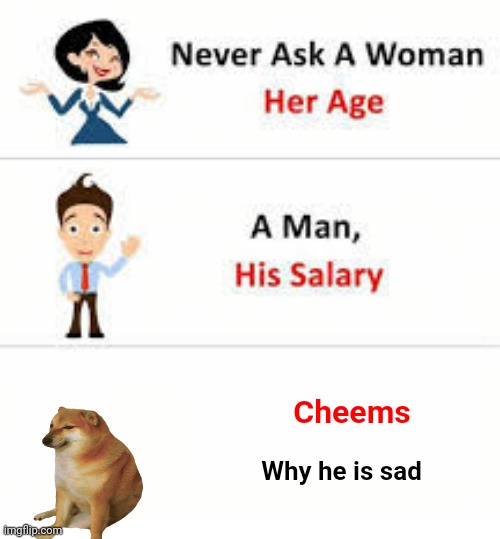 Poor cheems | Cheems; Why he is sad | image tagged in cheems,never ask a woman her age,sad | made w/ Imgflip meme maker