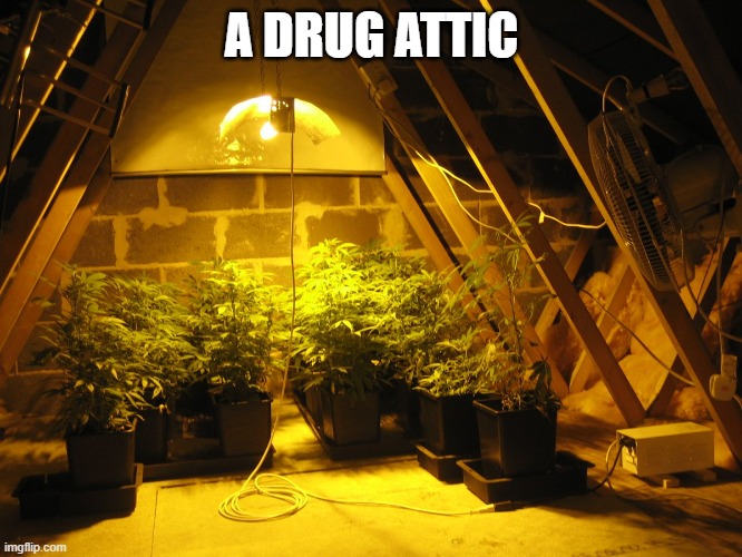 A DRUG ATTIC | made w/ Imgflip meme maker