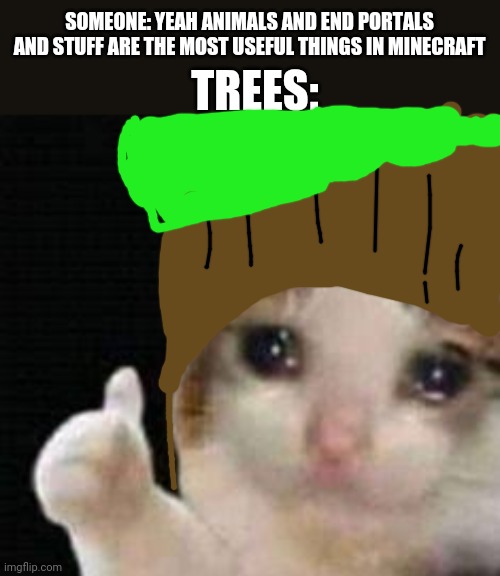 Minecraft approved crying cat Memes & GIFs - Imgflip
