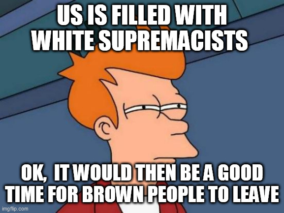 Futurama Fry Meme |  US IS FILLED WITH WHITE SUPREMACISTS; OK,  IT WOULD THEN BE A GOOD TIME FOR BROWN PEOPLE TO LEAVE | image tagged in memes,futurama fry | made w/ Imgflip meme maker