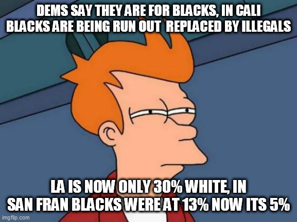 Futurama Fry | DEMS SAY THEY ARE FOR BLACKS, IN CALI BLACKS ARE BEING RUN OUT  REPLACED BY ILLEGALS; LA IS NOW ONLY 30% WHITE, IN SAN FRAN BLACKS WERE AT 13% NOW ITS 5% | image tagged in memes,futurama fry | made w/ Imgflip meme maker