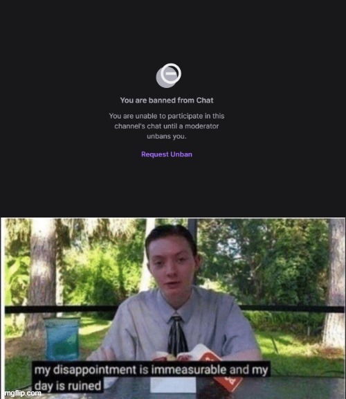image tagged in memes,my dissapointment is immeasurable and my day is ruined,twitch,ban,chat | made w/ Imgflip meme maker