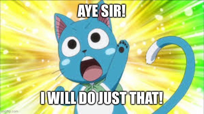 fairy tail happy | AYE SIR! I WILL DO JUST THAT! | image tagged in fairy tail happy | made w/ Imgflip meme maker
