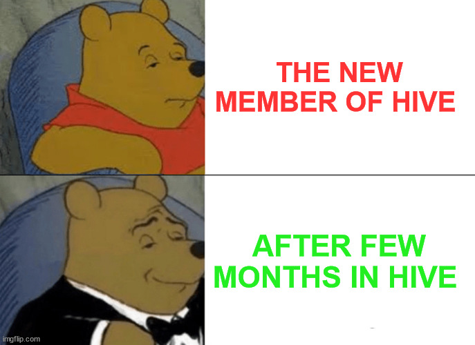 the hive members | THE NEW MEMBER OF HIVE; AFTER FEW MONTHS IN HIVE | image tagged in hive,cryptocurrency,memehub,meme,crypto,funny | made w/ Imgflip meme maker