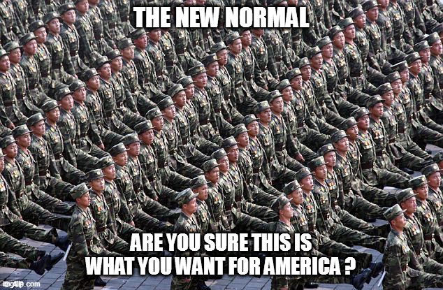 America, land of the....mindless goose stepping followers? | THE NEW NORMAL; ARE YOU SURE THIS IS WHAT YOU WANT FOR AMERICA ? | image tagged in npcs,america | made w/ Imgflip meme maker