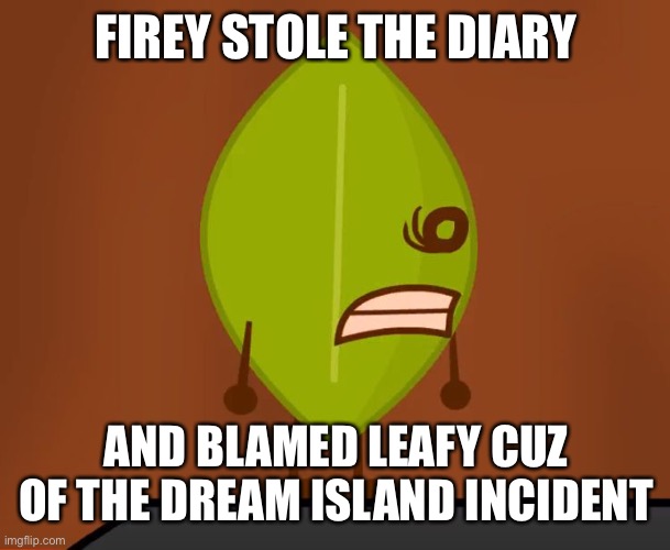 BFDI "Wat" Face | FIREY STOLE THE DIARY; AND BLAMED LEAFY CUZ OF THE DREAM ISLAND INCIDENT | image tagged in bfdi wat face | made w/ Imgflip meme maker