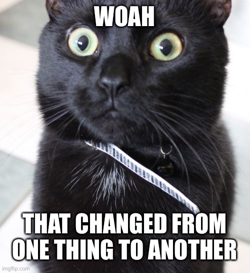 Woah Kitty Meme | WOAH THAT CHANGED FROM ONE THING TO ANOTHER | image tagged in memes,woah kitty | made w/ Imgflip meme maker