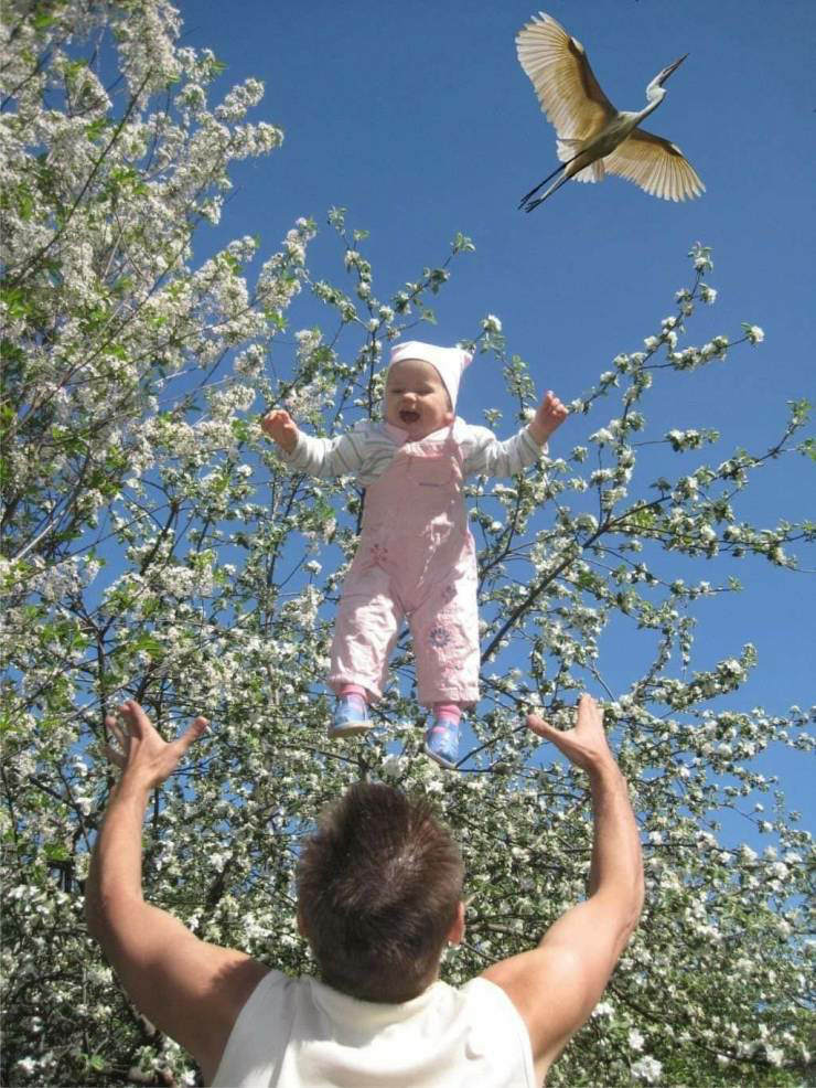 High Quality Baby dropped by stork, bird Blank Meme Template