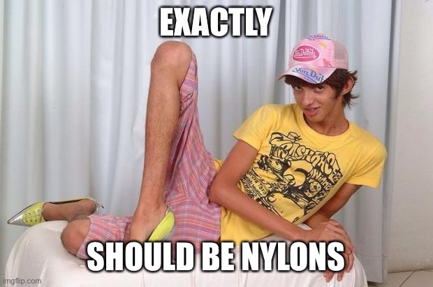 Gay | EXACTLY SHOULD BE NYLONS | image tagged in gay | made w/ Imgflip meme maker
