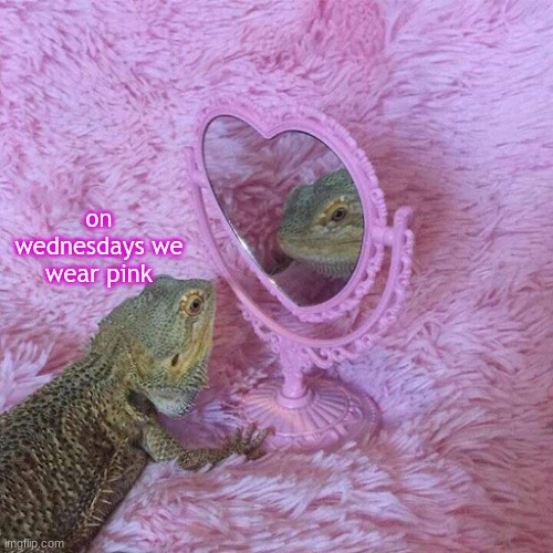 Lizard mirror | on wednesdays we wear pink | image tagged in lizard mirror | made w/ Imgflip meme maker