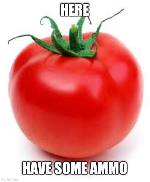 tomato | HERE HAVE SOME AMMO | image tagged in tomato | made w/ Imgflip meme maker