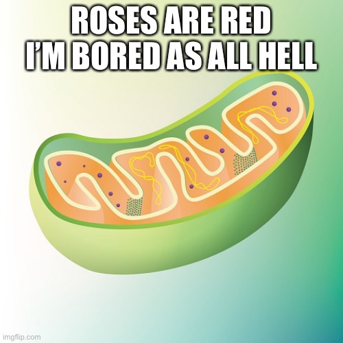 mitochondria is the powerhouse of the cell | ROSES ARE RED
I’M BORED AS ALL HELL | image tagged in and they were roommates,mitochondria is the powerhouse of the cell,oh hi thanks for checking in im still a piece of garbage | made w/ Imgflip meme maker