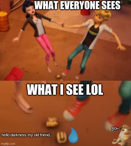Poor hotdog (new york special spoiler) |  WHAT EVERYONE SEES; WHAT I SEE LOL; yo-; hello darkness my old friend... | image tagged in miraculous ladybug,new york special,doge,nugeet | made w/ Imgflip meme maker