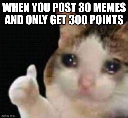 Approved crying cat | WHEN YOU POST 30 MEMES AND ONLY GET 300 POINTS | image tagged in approved crying cat | made w/ Imgflip meme maker