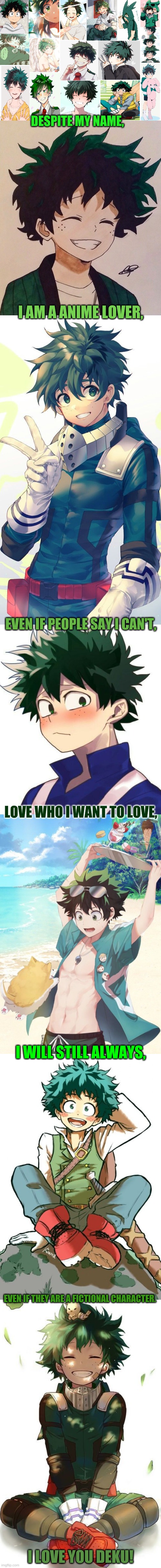 Love who you want to love, Even if they are real for only you. | DESPITE MY NAME, I AM A ANIME LOVER, EVEN IF PEOPLE SAY I CAN'T, LOVE WHO I WANT TO LOVE, I WILL STILL ALWAYS, EVEN IF THEY ARE A FICTIONAL CHARACTER. I LOVE YOU DEKU! | image tagged in mha | made w/ Imgflip meme maker