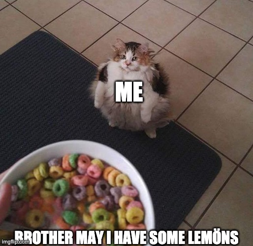 lemöns | ME; BROTHER MAY I HAVE SOME LEMÖNS | image tagged in loops brother | made w/ Imgflip meme maker