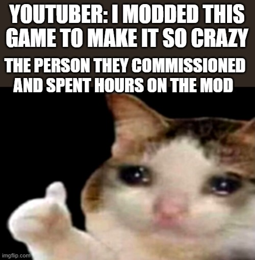please give them credit | YOUTUBER: I MODDED THIS GAME TO MAKE IT SO CRAZY; THE PERSON THEY COMMISSIONED AND SPENT HOURS ON THE MOD | image tagged in sad cat thumbs up | made w/ Imgflip meme maker