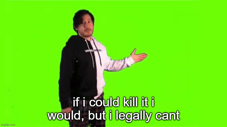 if i could kill it i would, but i legally cant | made w/ Imgflip meme maker