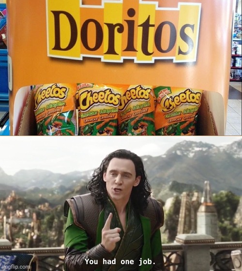 You had one job | image tagged in you had one job | made w/ Imgflip meme maker