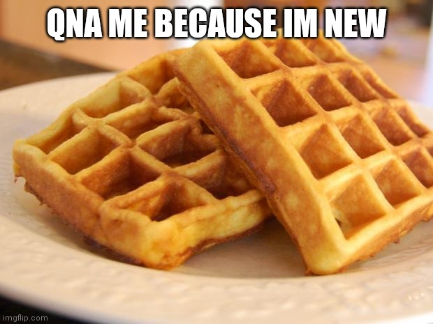 Essay Waffle | QNA ME BECAUSE IM NEW | image tagged in essay waffle | made w/ Imgflip meme maker