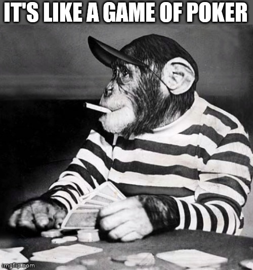 poker chimp | IT'S LIKE A GAME OF POKER | image tagged in poker chimp | made w/ Imgflip meme maker