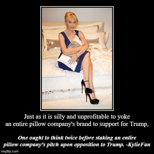 U Wot Kylie | image tagged in kyliefan pillow | made w/ Imgflip meme maker