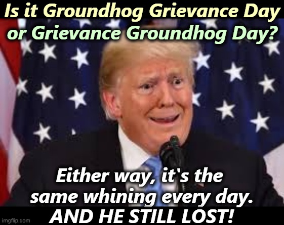 Every day he's wrong. | Is it Groundhog Grievance Day; or Grievance Groundhog Day? Either way, it's the 
same whining every day.
AND HE STILL LOST! | image tagged in trump dilated and taken aback,trump,whining,loser,groundhog day | made w/ Imgflip meme maker