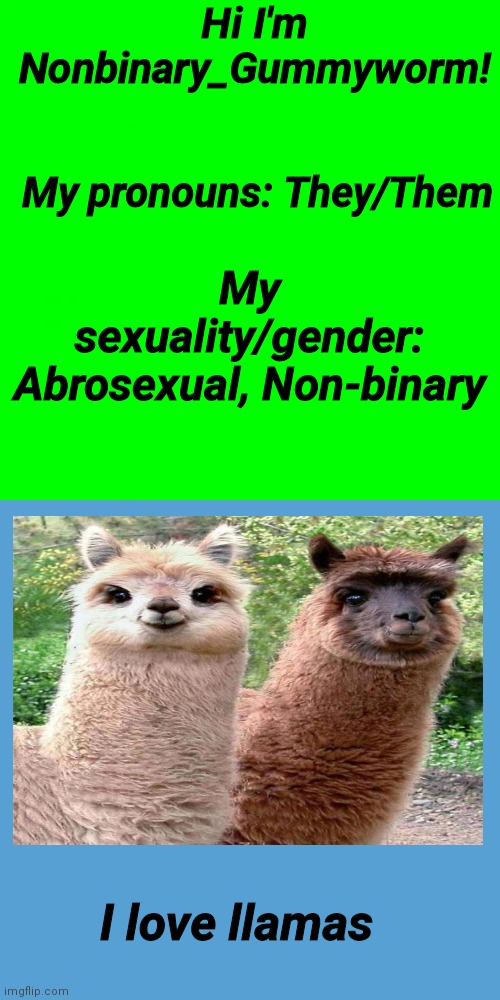 For nonbinary_gummyworm | Hi I'm Nonbinary_Gummyworm! My pronouns: They/Them; My sexuality/gender: Abrosexual, Non-binary; I love llamas | image tagged in light green background color,light blue sucks | made w/ Imgflip meme maker
