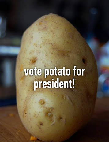 Potato for president Blank Meme Template